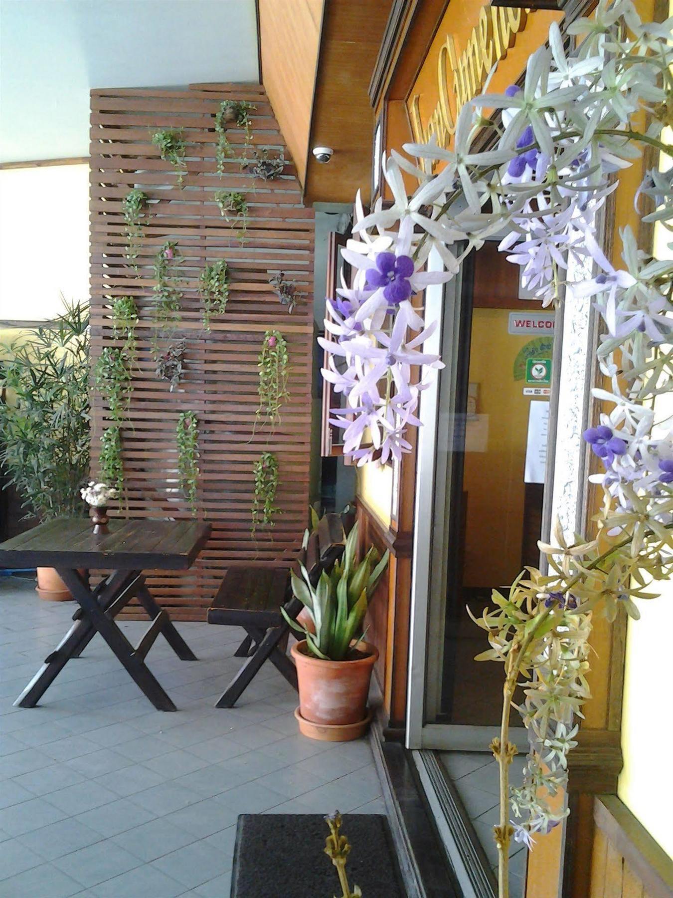 Nonni Guesthouse เชียงใหม่ ภายนอก รูปภาพ